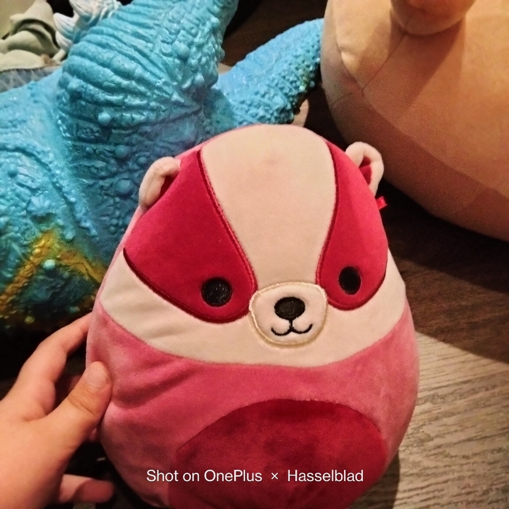 A pink raccoon squishmallow